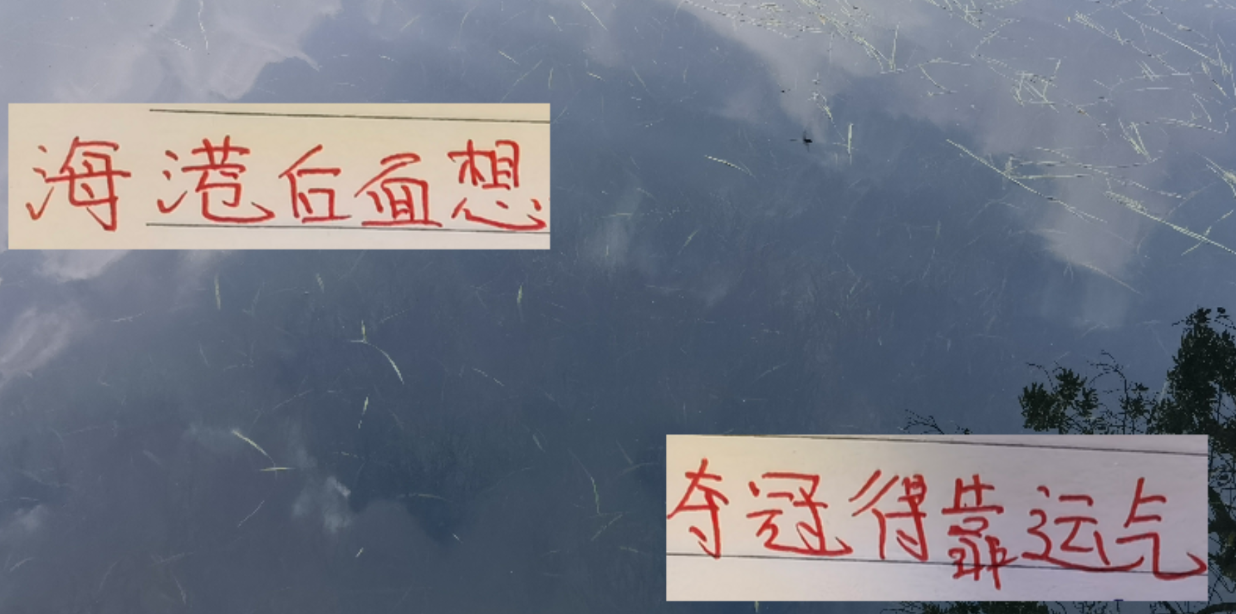 从ICU到KTV的感觉 海港输球反胜第3名 后面能否夺冠就看运气了